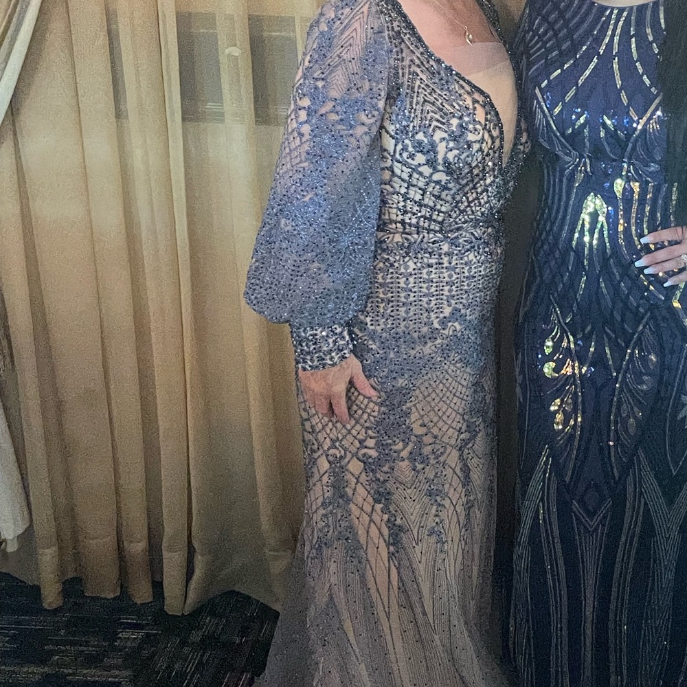 Velvet by Roland dress